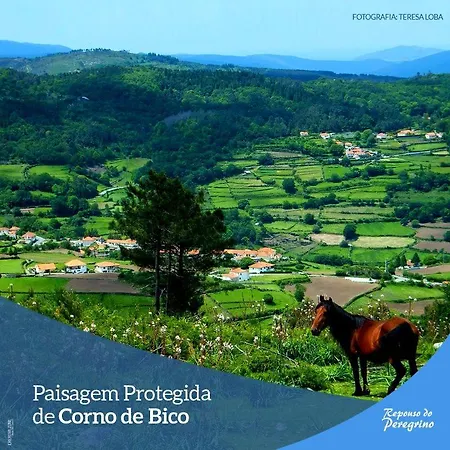 Pensao Repouso Do Peregrino 酒店 *