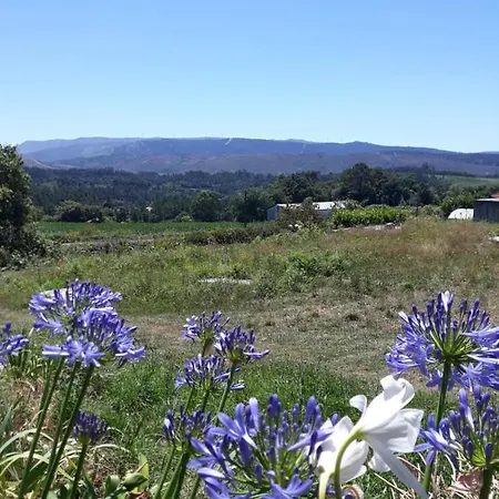 Pensao Repouso Do Peregrino 酒店 帕雷迪什迪科拉