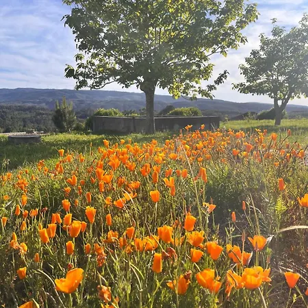 Pensao Repouso Do Peregrino 帕雷迪什迪科拉