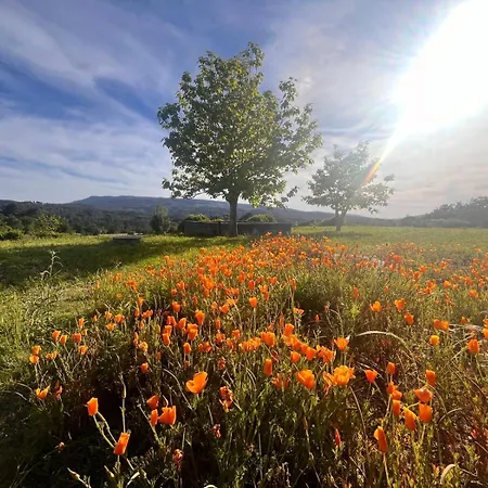 Pensao Repouso Do Peregrino 酒店 *