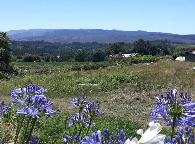Pensao Repouso Do Peregrino Отель Паредиш-ди-Кора