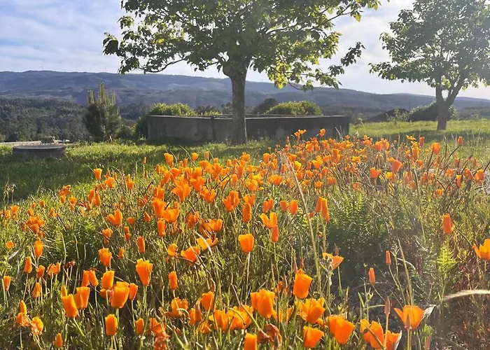 Pensao Repouso Do Peregrino Paredes de Coura