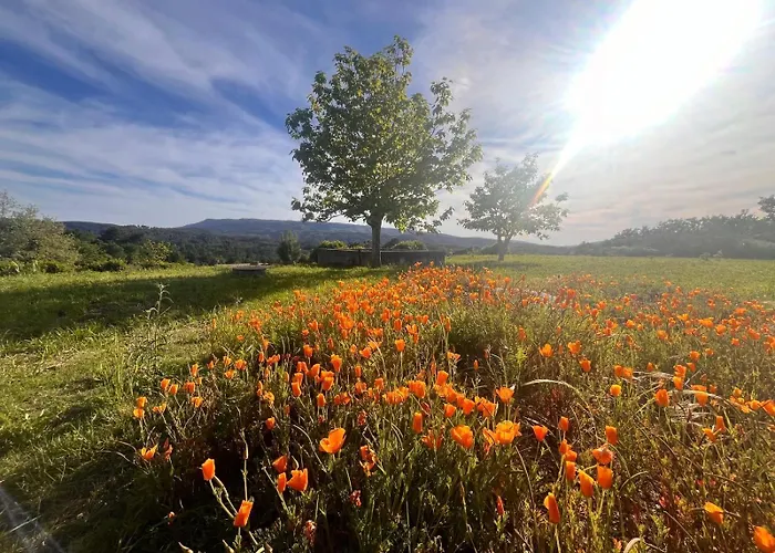 Pensao Repouso Do Peregrino Hotel *